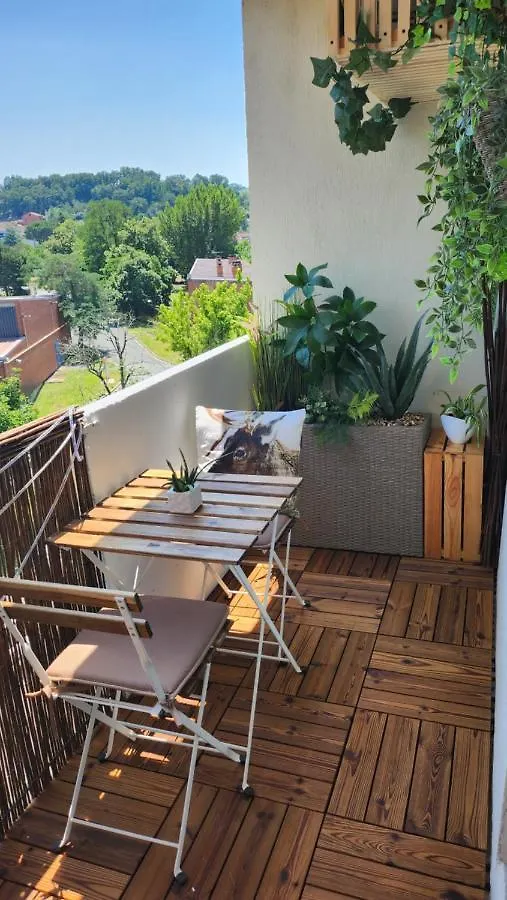 Apartment Studio Bellevue 35 Avec Balcon Albi France